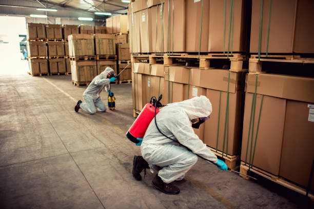 Best Pest Control for Homes  in , MN