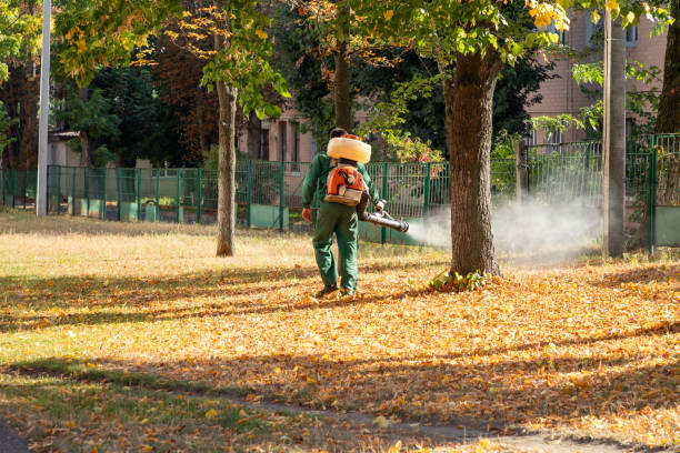 Best Cockroach Control Services  in , MN