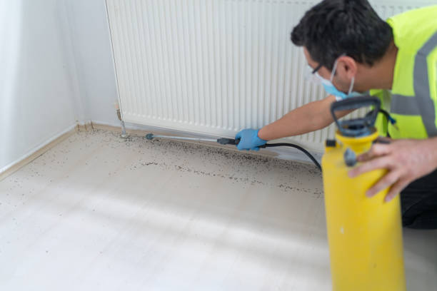Best Wasp Removal Services  in , MN