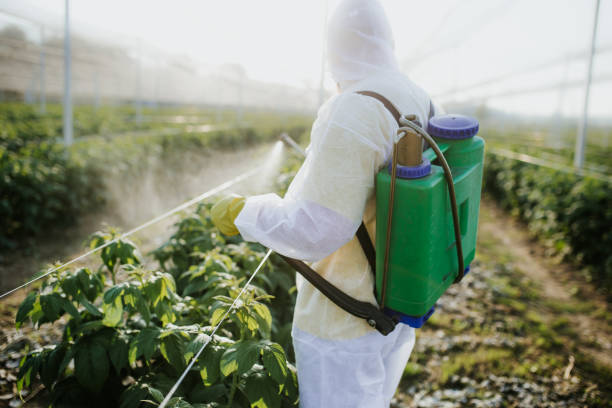 Best Exterminator Services  in , MN